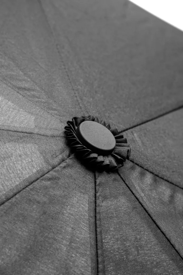 Umbrella1 Schirm